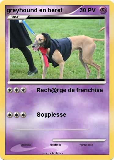 Pokemon greyhound en beret