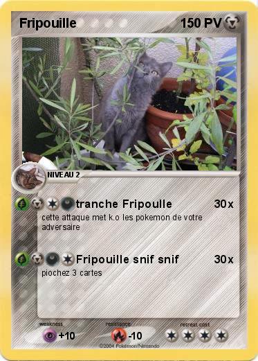 Pokemon Fripouille