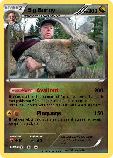 Pokemon Big Bunny