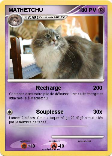 Pokemon MATHETCHU