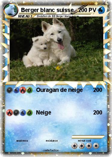 Pokemon Berger blanc suisse