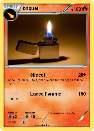 Pokemon briquet