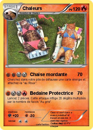 Pokemon Chaleurs