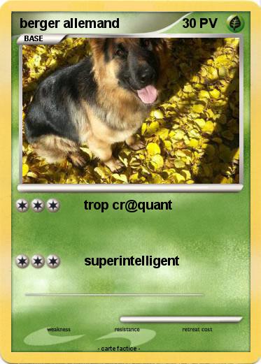 Pokemon berger allemand