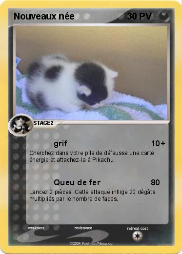 Pokemon Nouveaux née