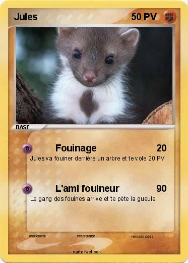 Pokemon Jules