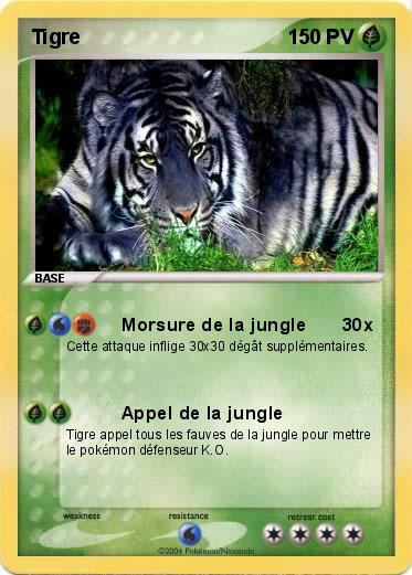 Pokemon Tigre