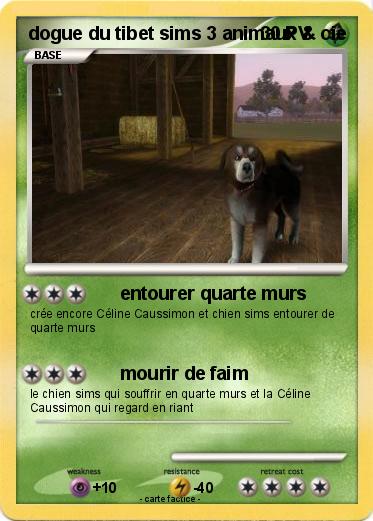 Pokemon dogue du tibet sims 3 animaux & cie