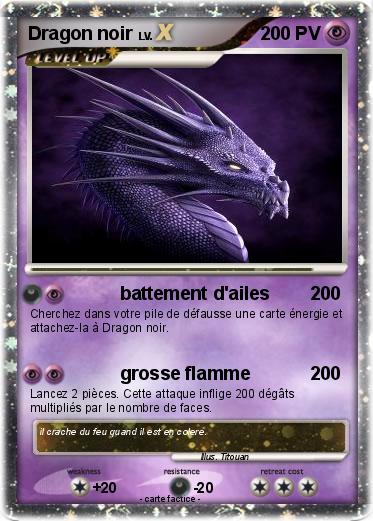 Pokemon Dragon noir
