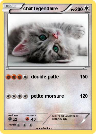 Pokemon chat legendaire