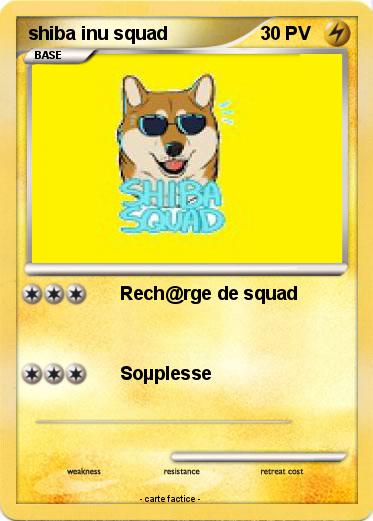 Pokemon shiba inu squad