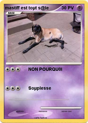 Pokemon mastiff est toµt s@le