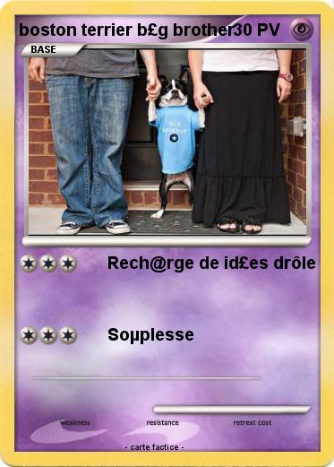 Pokemon boston terrier b£g brother