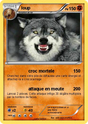 Pokemon loup