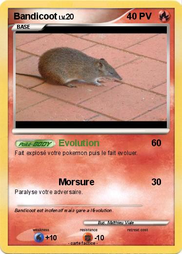 Pokemon Bandicoot