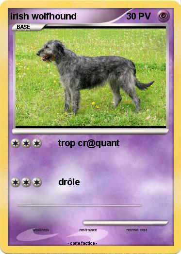 Pokemon irish wolfhound