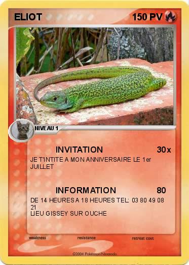 Pokemon ELIOT