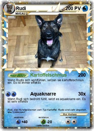 Pokemon Rudi