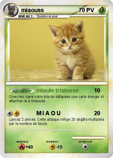 Pokemon miaouss