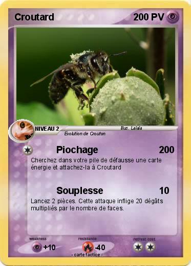 Pokemon Croutard