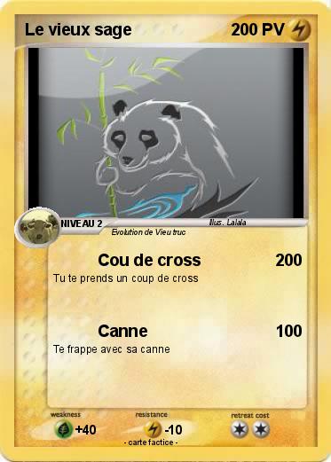 Pokemon Le vieux sage