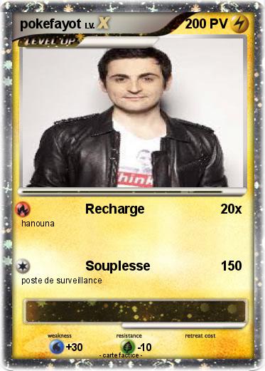 Pokemon pokefayot