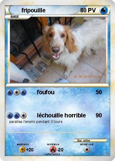Pokemon fripouille