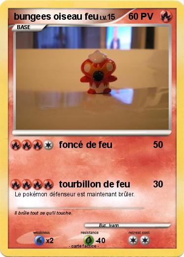 Pokemon bungees oiseau feu