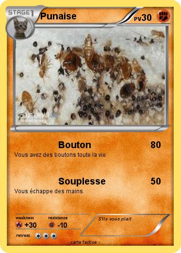 Pokemon Punaise