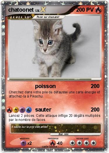 Pokemon chatoonet