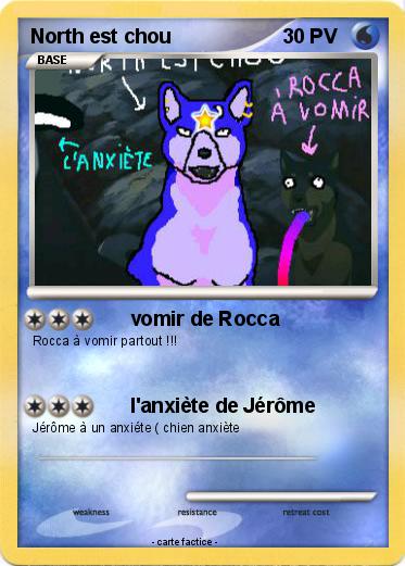 Pokemon North est chou