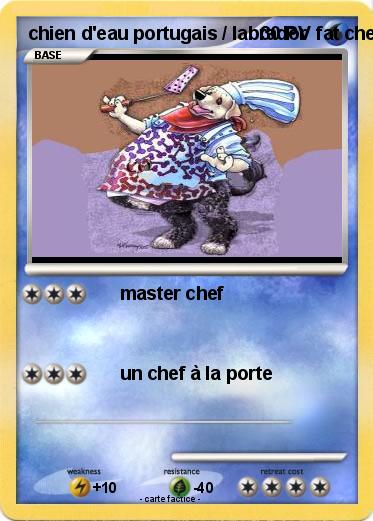 Pokemon chien d'eau portugais / labrador  fat chef