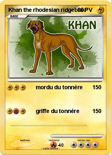 Pokemon Khan the rhodesian ridgeblak