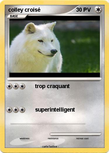 Pokemon colley croisé