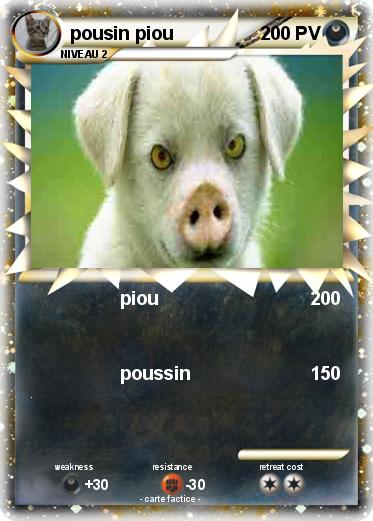 Pokemon pousin piou