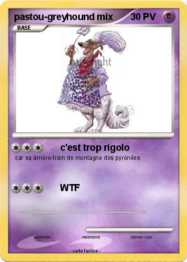 Pokemon pastou-greyhound mix