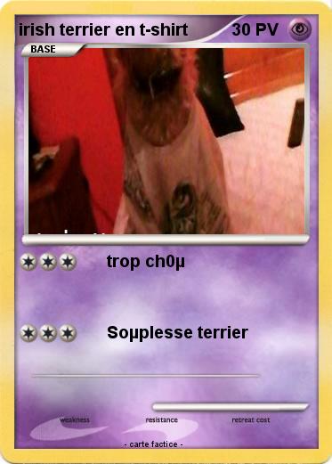 Pokemon irish terrier en t-shirt