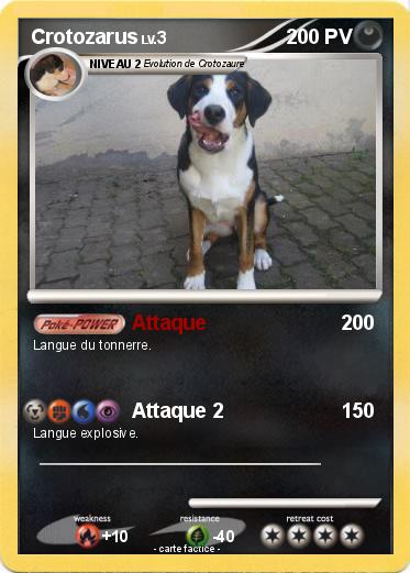 Pokemon Crotozarus