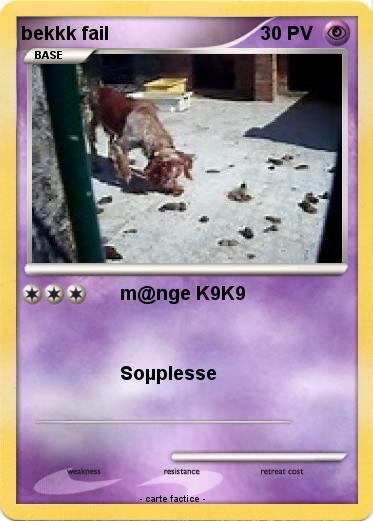 Pokemon bekkk fail
