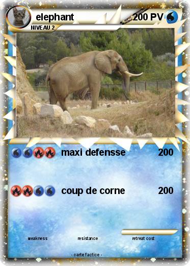 Pokemon elephant