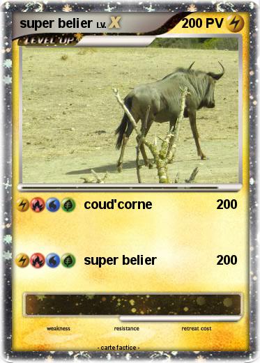 Pokemon super belier