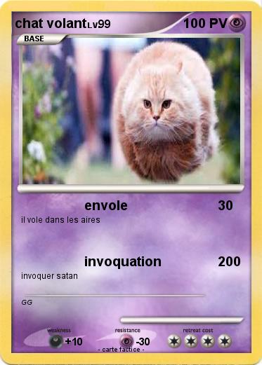 Pokemon chat volant