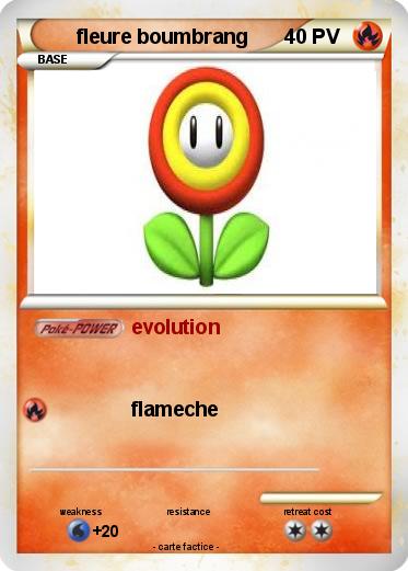Pokemon fleure boumbrang