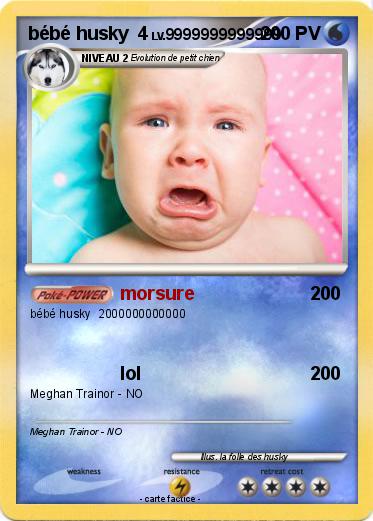 Pokemon bébé husky  4