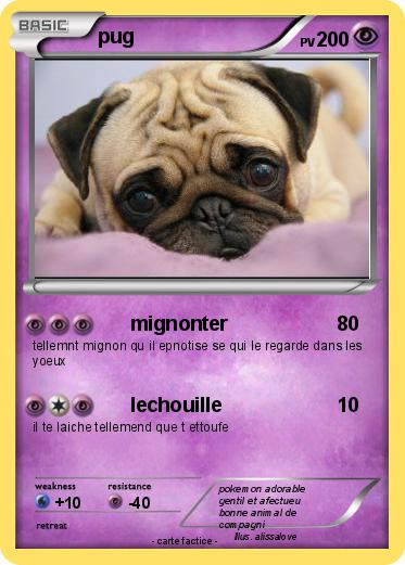 Pokemon pug