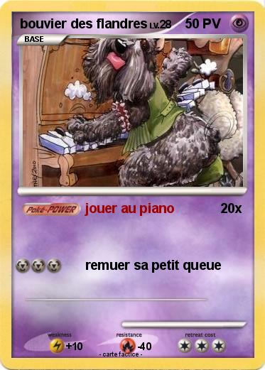 Pokemon bouvier des flandres