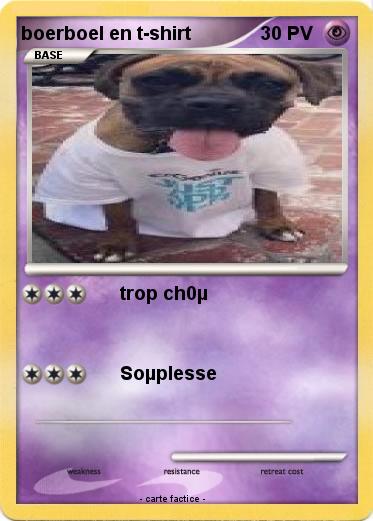 Pokemon boerboel en t-shirt