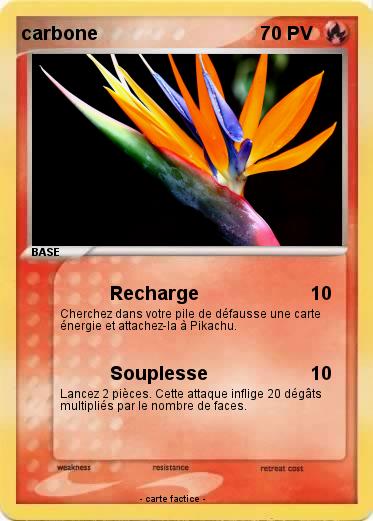 Pokemon carbone