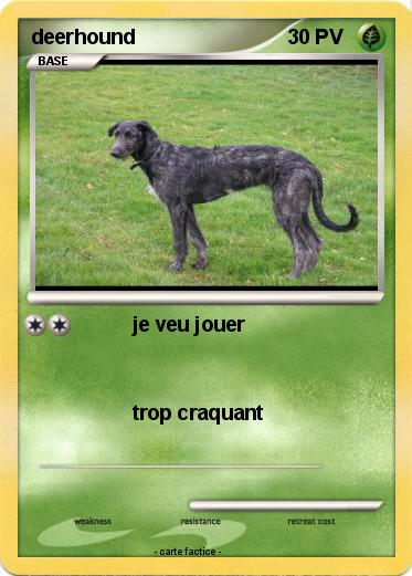 Pokemon deerhound