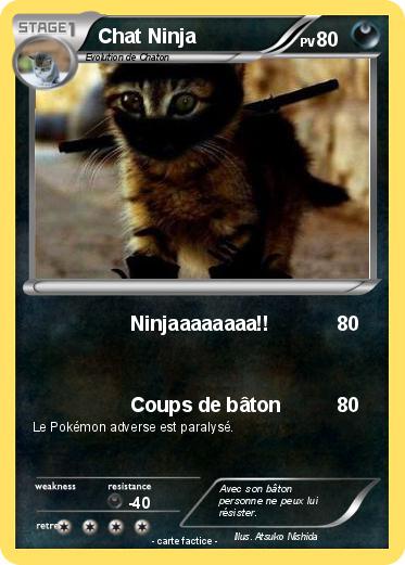 Pokemon Chat Ninja